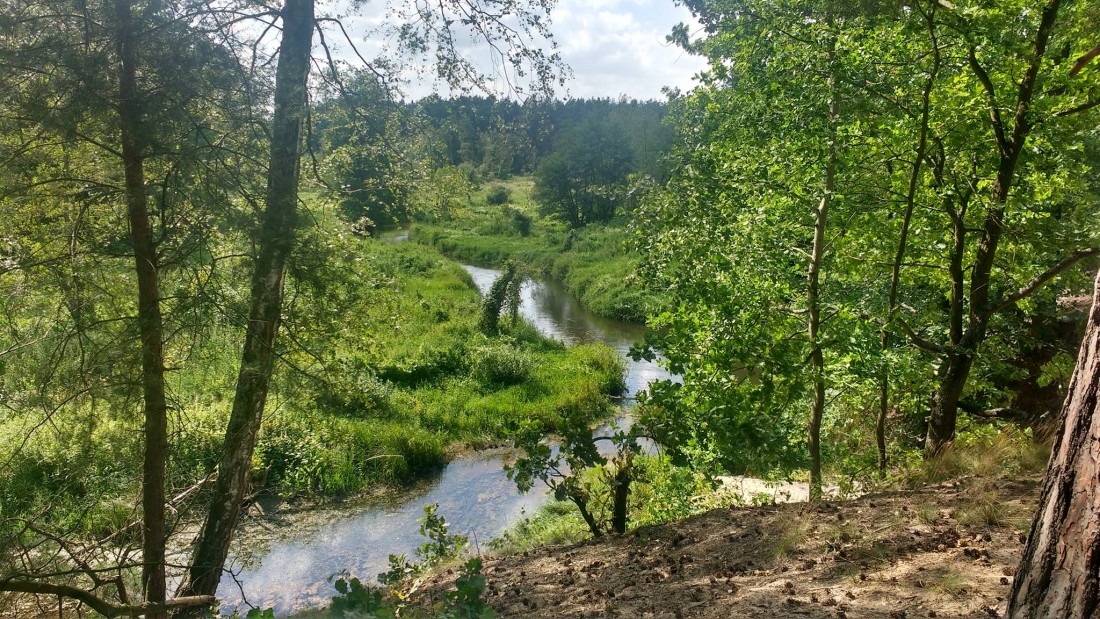 II Urodzinowy Cross nad Rawką